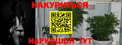 марки nbome Новозыбков